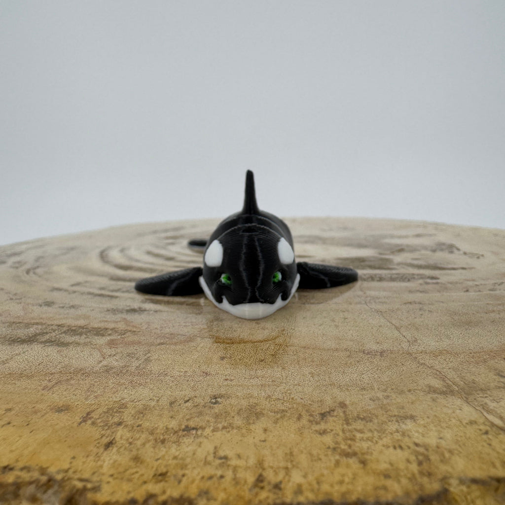 Orca
