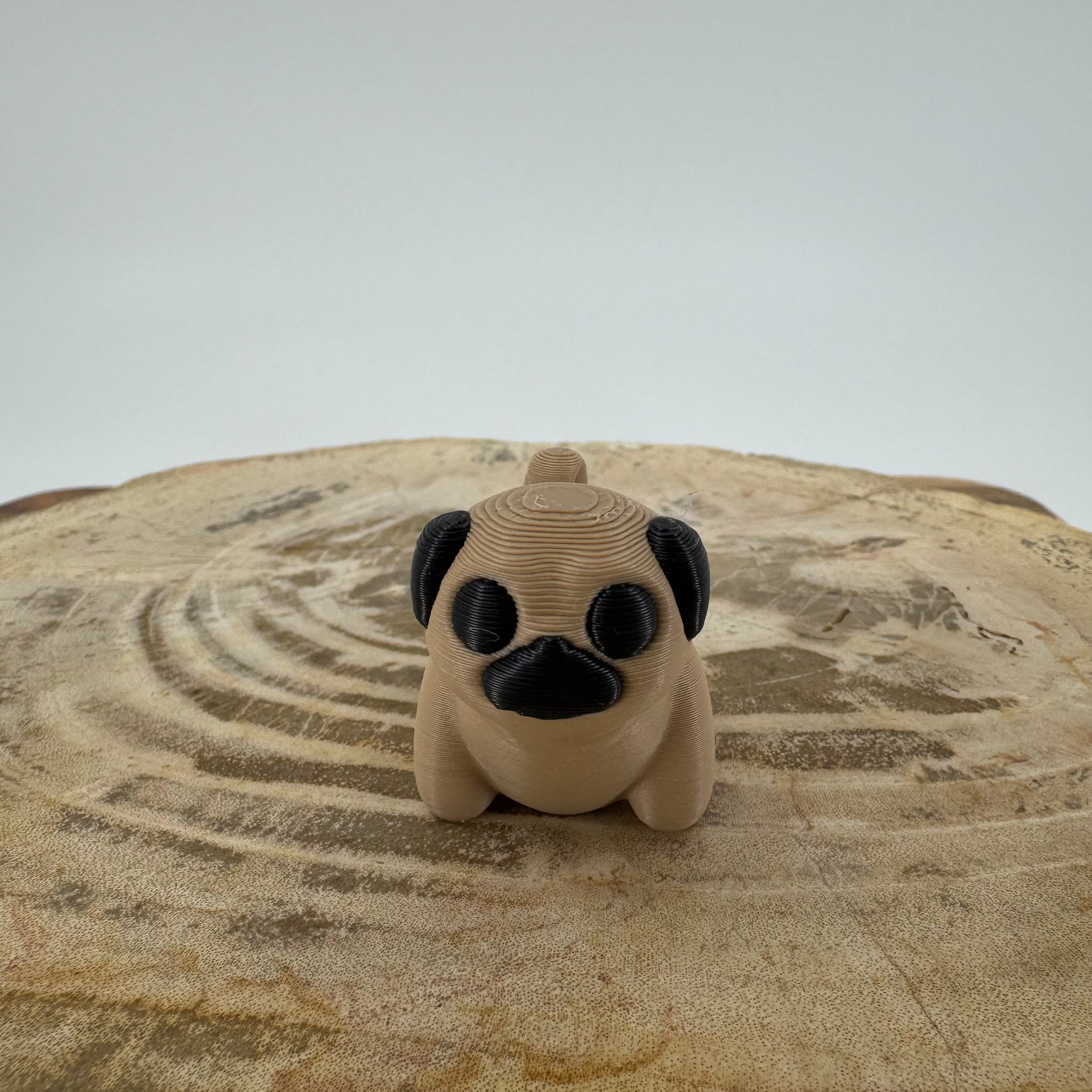 Pug
