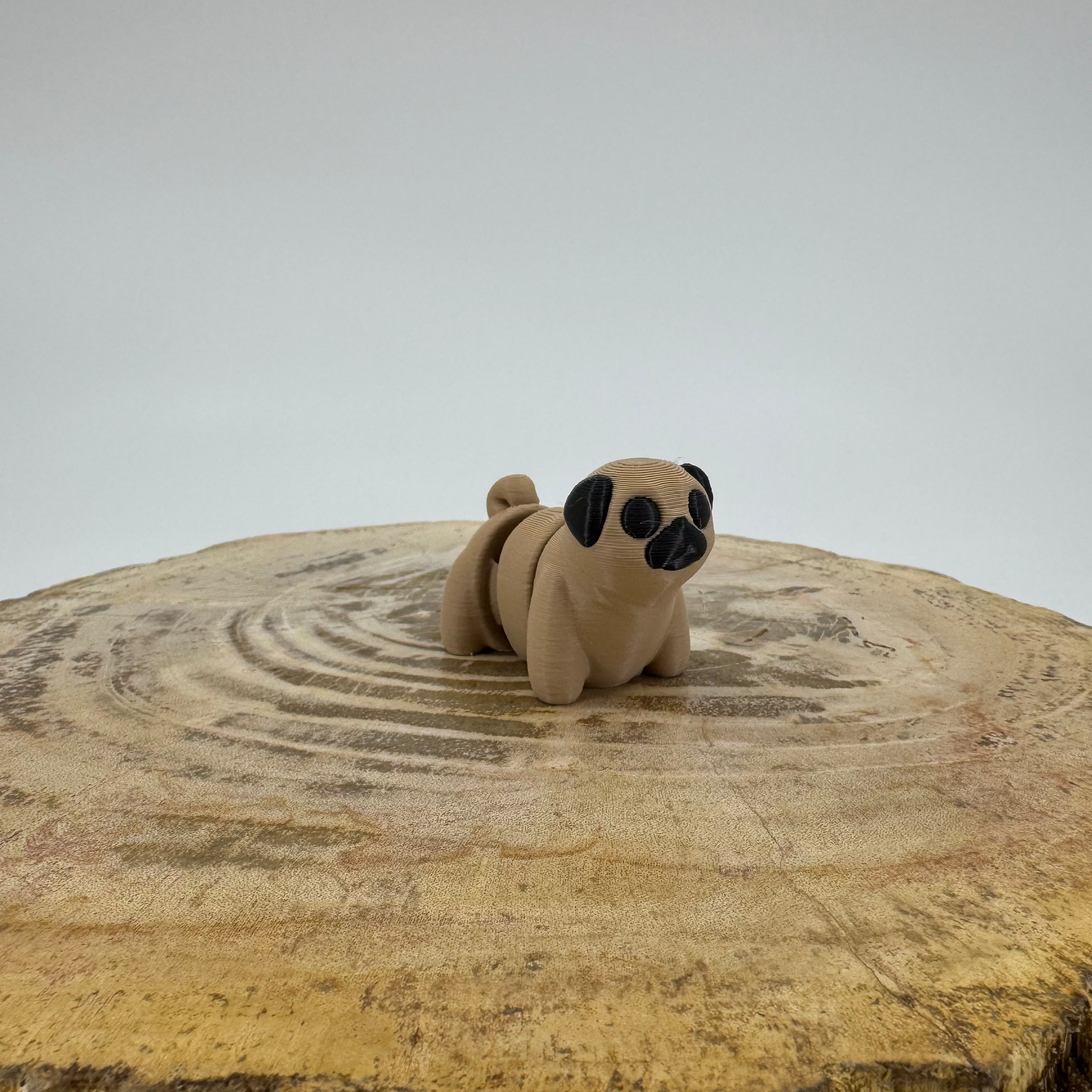 Pug