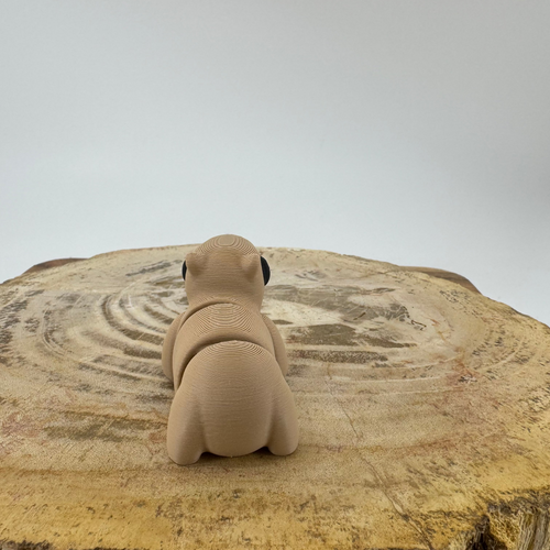 Capybara