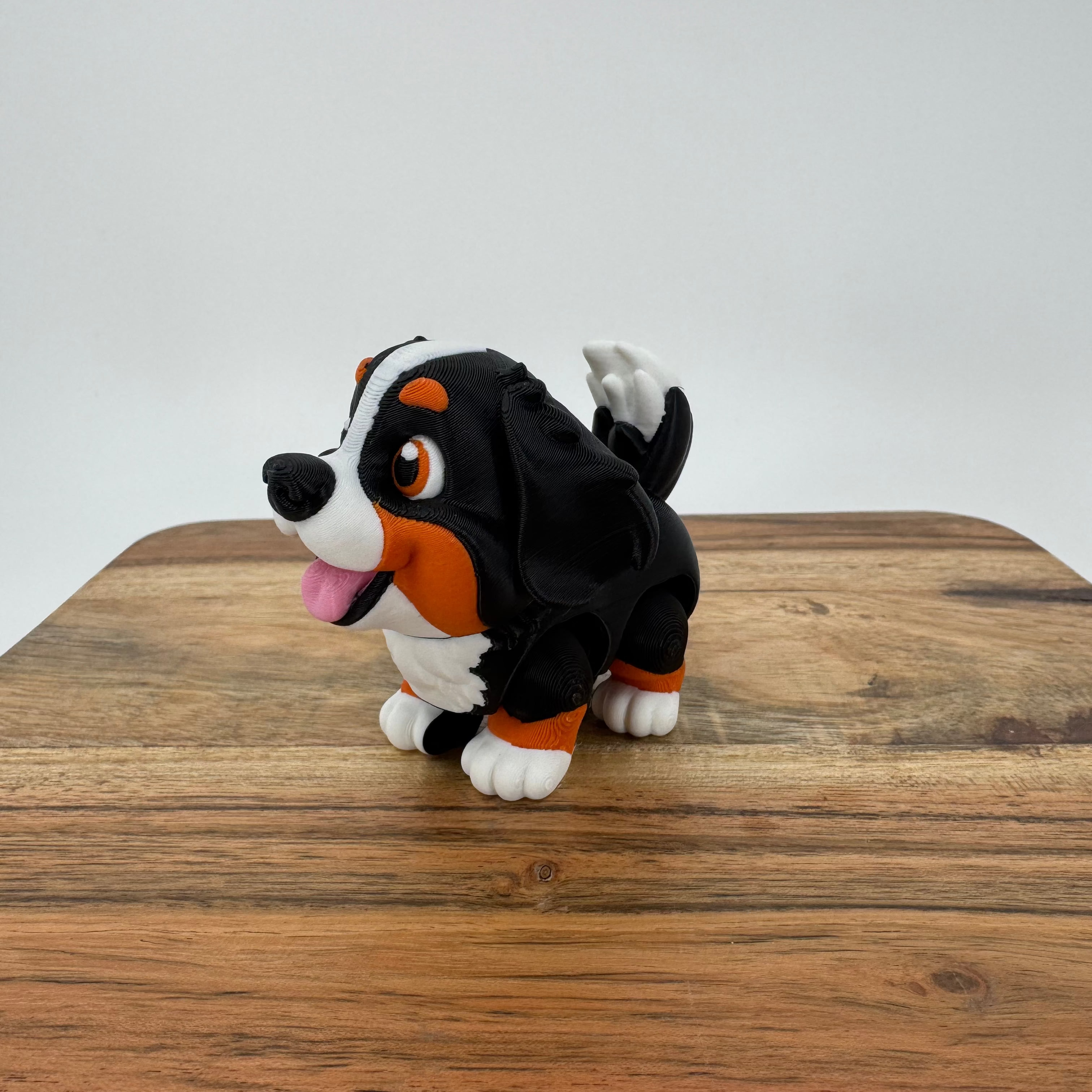 Dog Collection